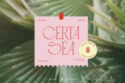 Loviena Rose - Stylish Serif