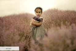 Lr Presets - Must-Have Collection