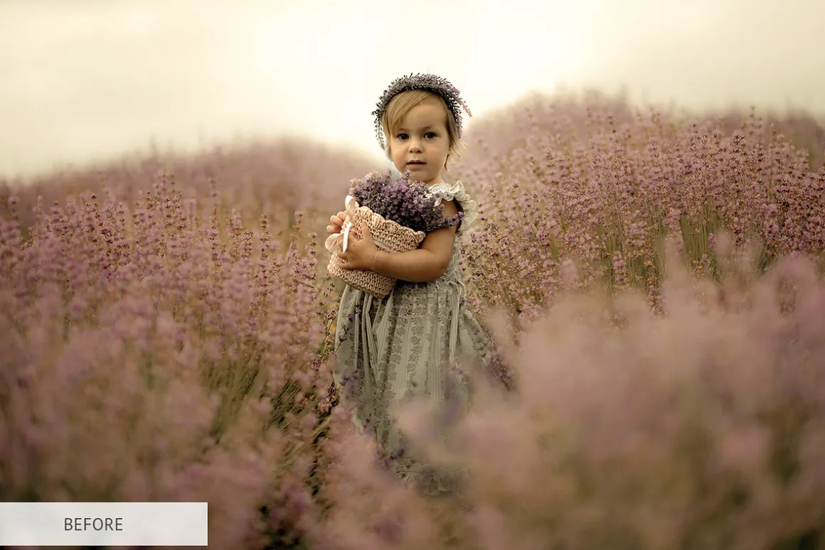 Lr Presets - Must-Have Collection