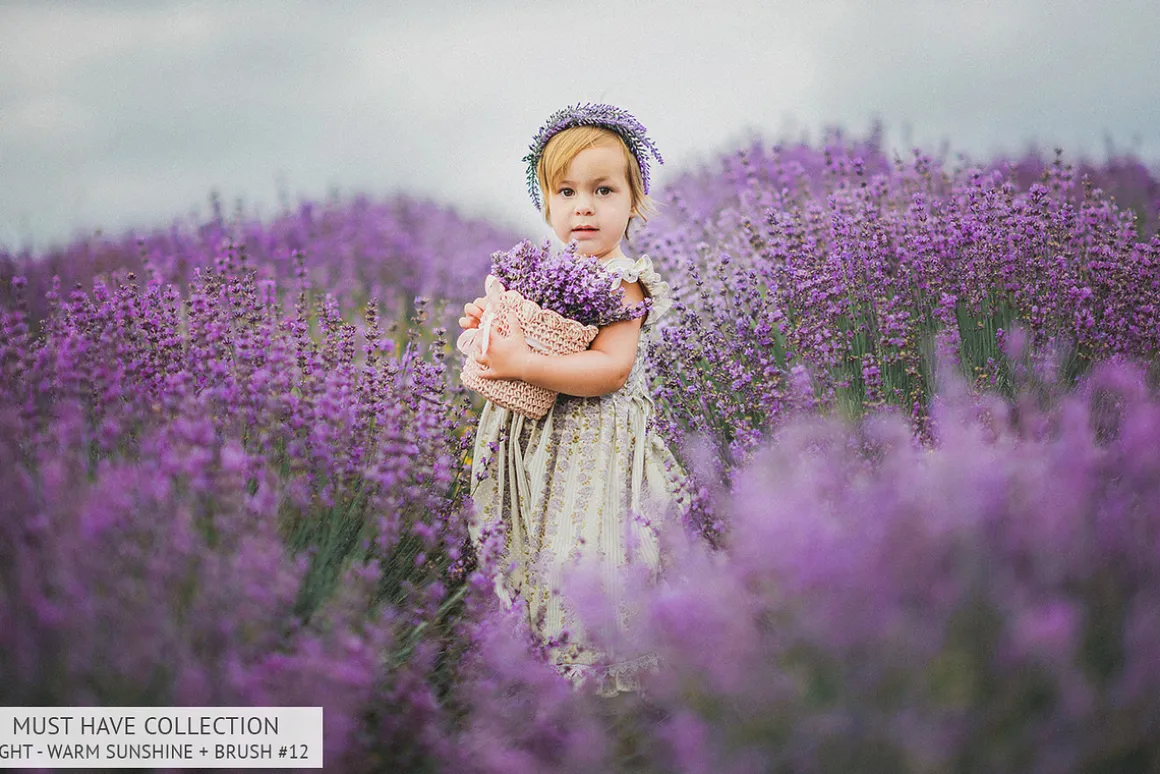 Lr Presets - Must-Have Collection