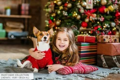 Lr Presets - Must-Have Collection