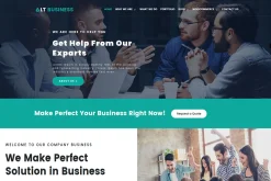 LT Business Onepage WordPress Theme
