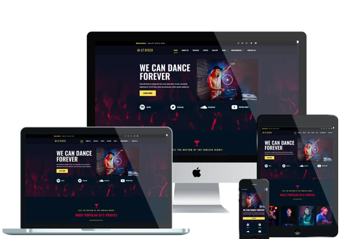 LT Disco Onepage Nightclub WordPress