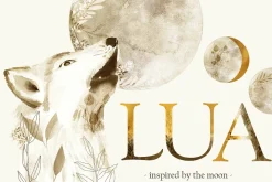 LUA, inspired by the moon