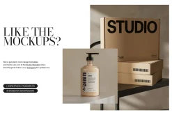LUCETTE | Brand Strategy