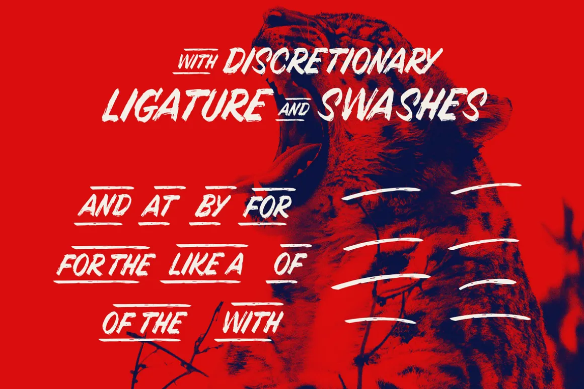 LUCHA TYPEFACE