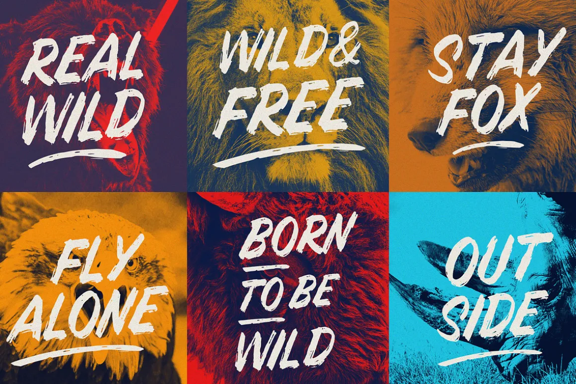 LUCHA TYPEFACE