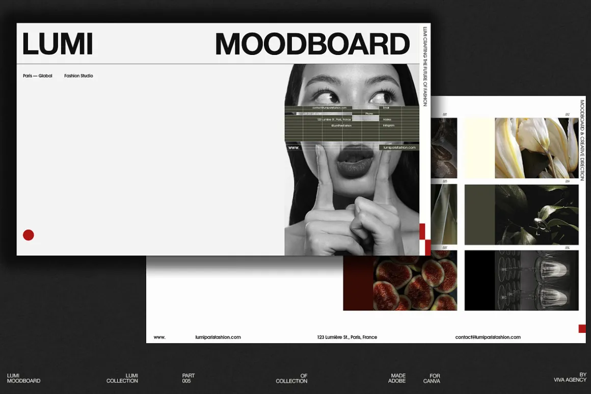 LUMI Bundle | 5 in 1 — Canva & Adobe
