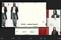 LUMI Bundle | 5 in 1 — Canva & Adobe