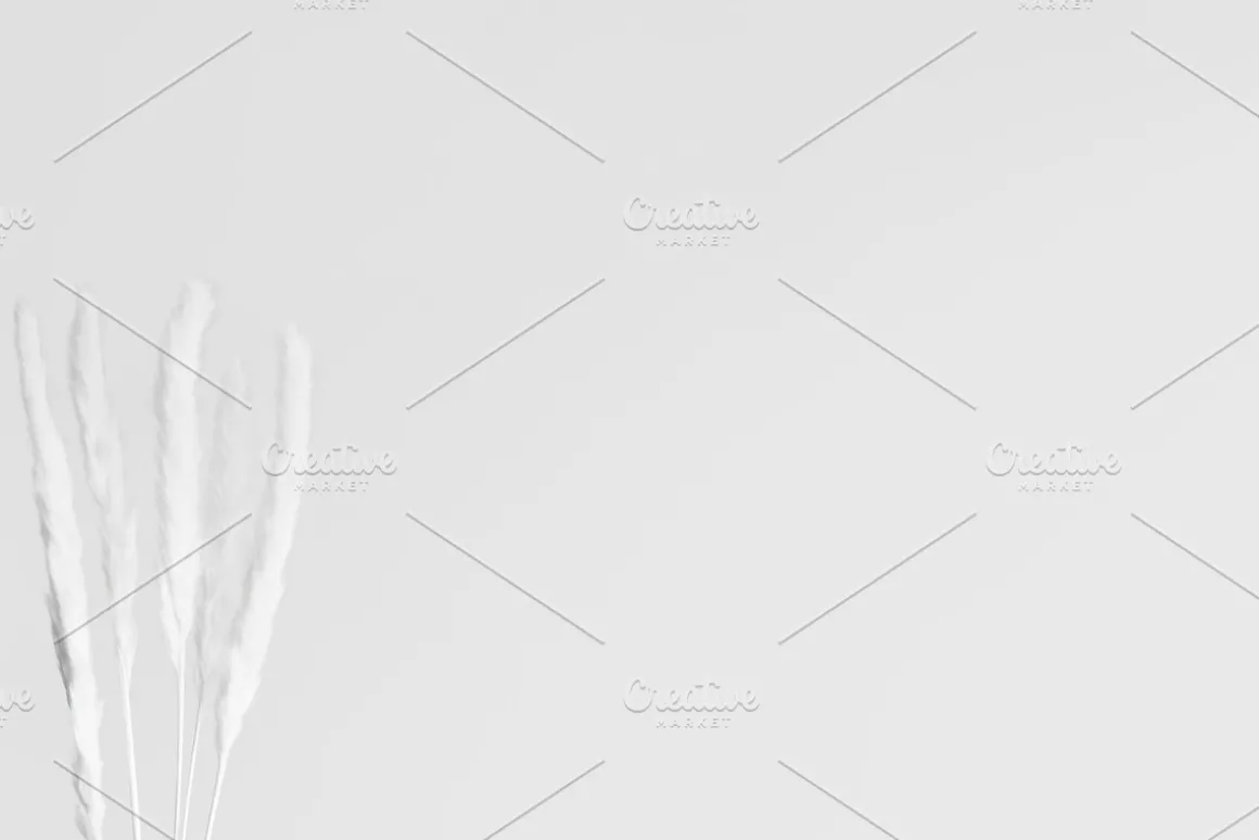 MacBook Laptop Photo Mockup