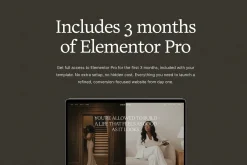 Maeve WordPress Website Template