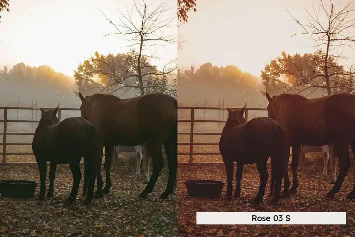 20 Magic Hour Lightroom Presets