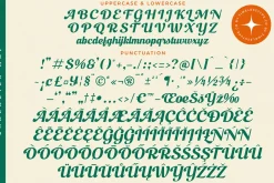 Magic Parade Bold Modern Script