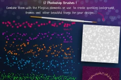 MAGICUS - dust + brushes.