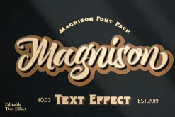 Magnison Font Pack + Bonus