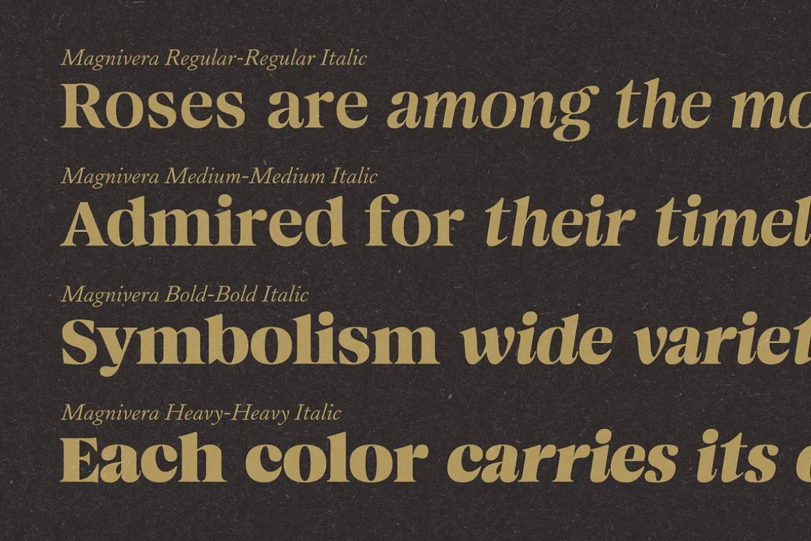 Magnivera; 8 Display Serif Font