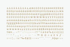 Magnivera; 8 Display Serif Font