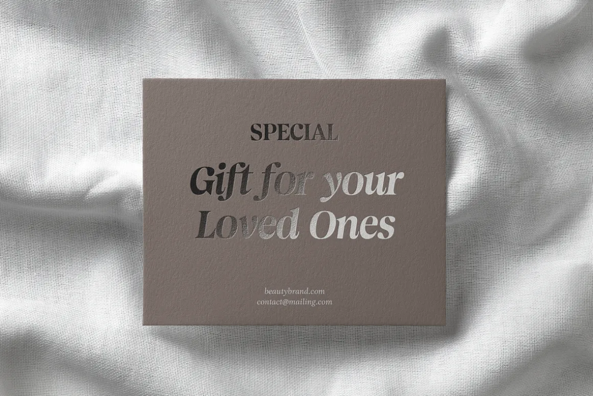Magnivera; 8 Display Serif Font