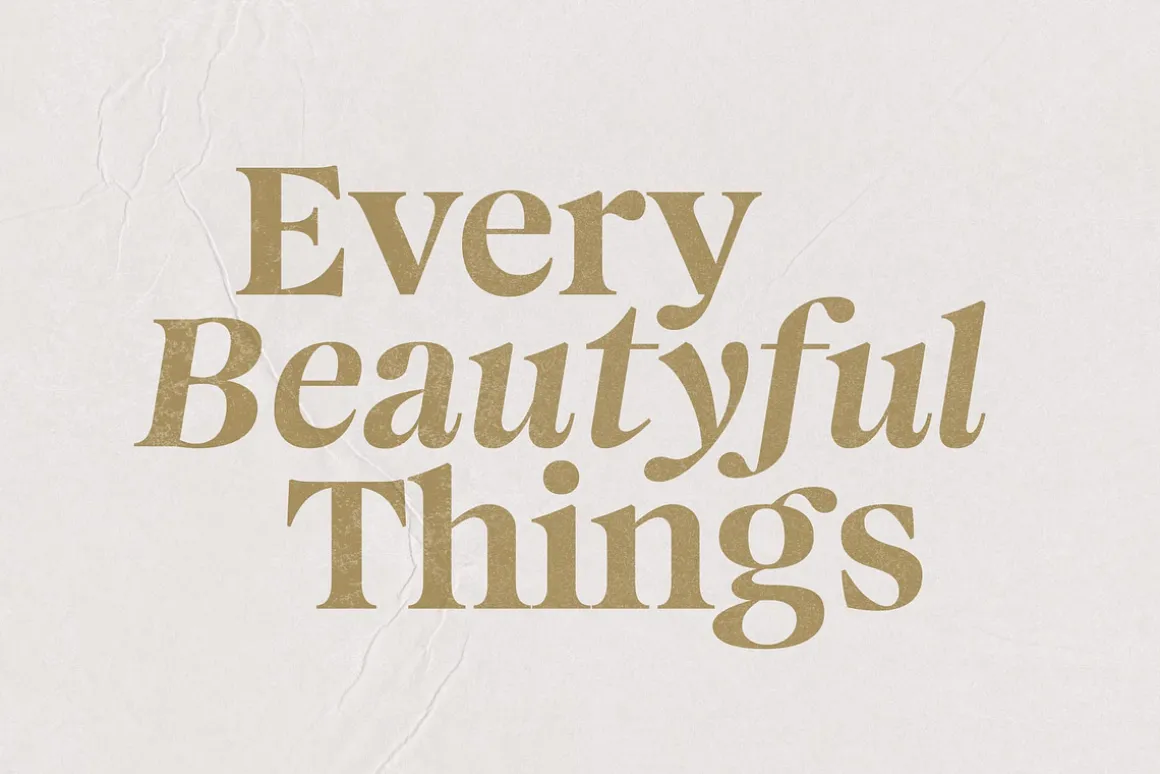Magnivera; 8 Display Serif Font