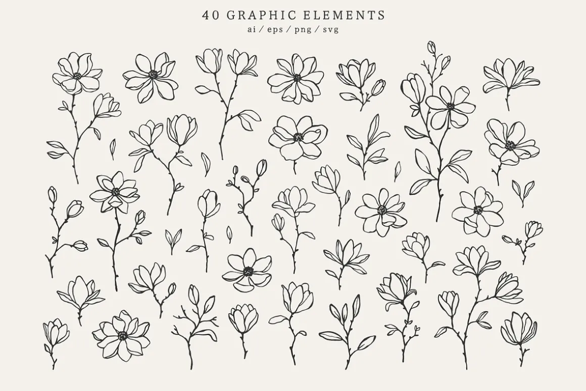 Magnolia - Patterns & Flowers