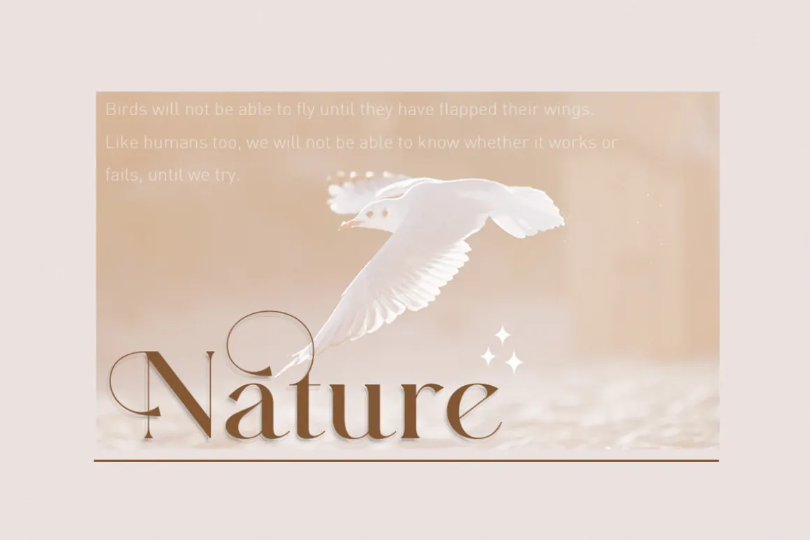 Majors A luxe serif