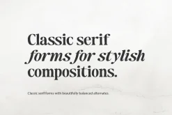 Maker's Serif Serif (30 Font)