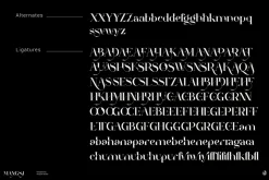 Mangsi | Inked Display Typeface