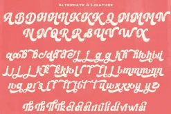 Mantige - Chunky Retro Font