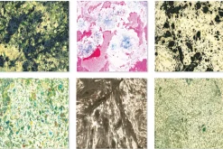 12 Marbled Paper Backgrounds