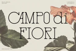 Marjolaine Type - A delicate Serif