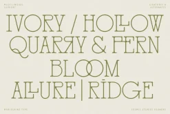 Marjolaine Type - A delicate Serif