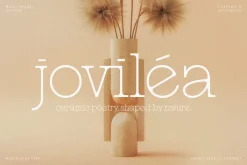 Marjolaine Type - A delicate Serif