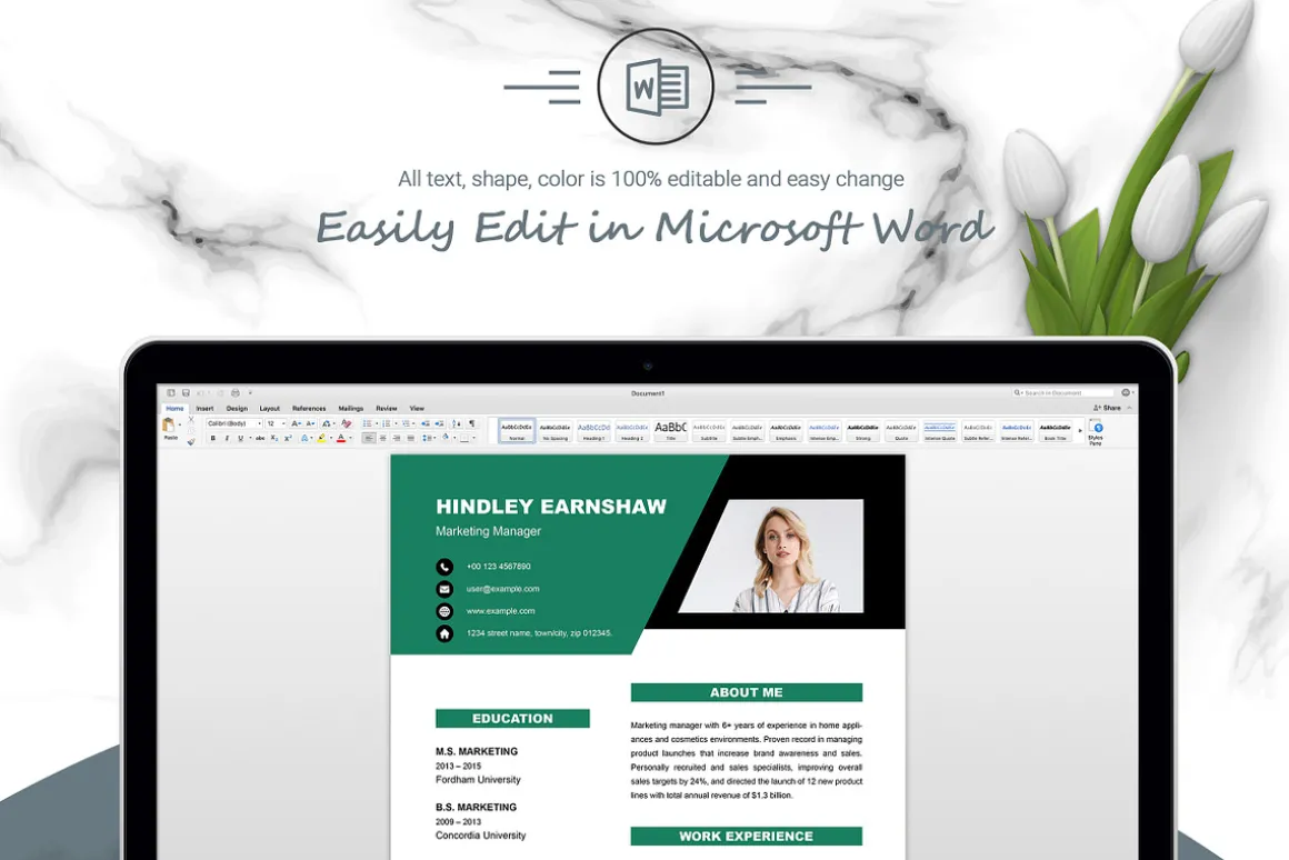 Marketing Manager CV/Resume