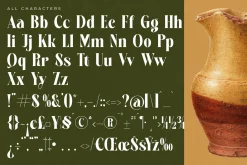 Martego Modern Bold Serif Font