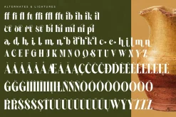 Martego Modern Bold Serif Font