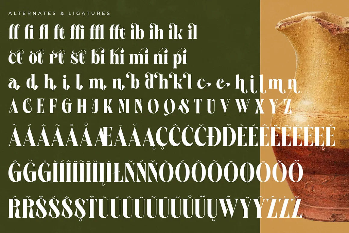 Martego Modern Bold Serif Font