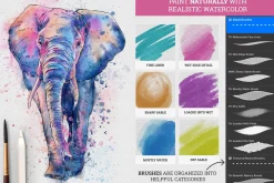 Master Watercolor Brushes - Ultimate