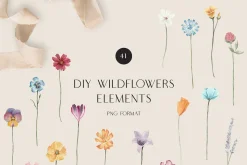 MEADOW bright wild flowers set