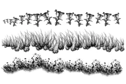 Meadow Brush Set