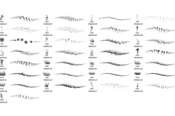 Meadow Brush Set
