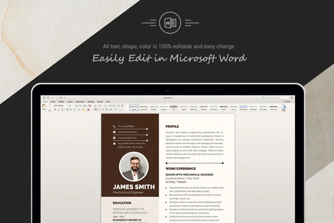 Mechanical Engineer CV Template