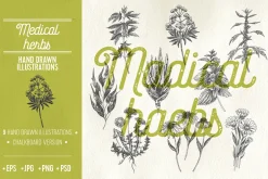 Medical herbs illustrations