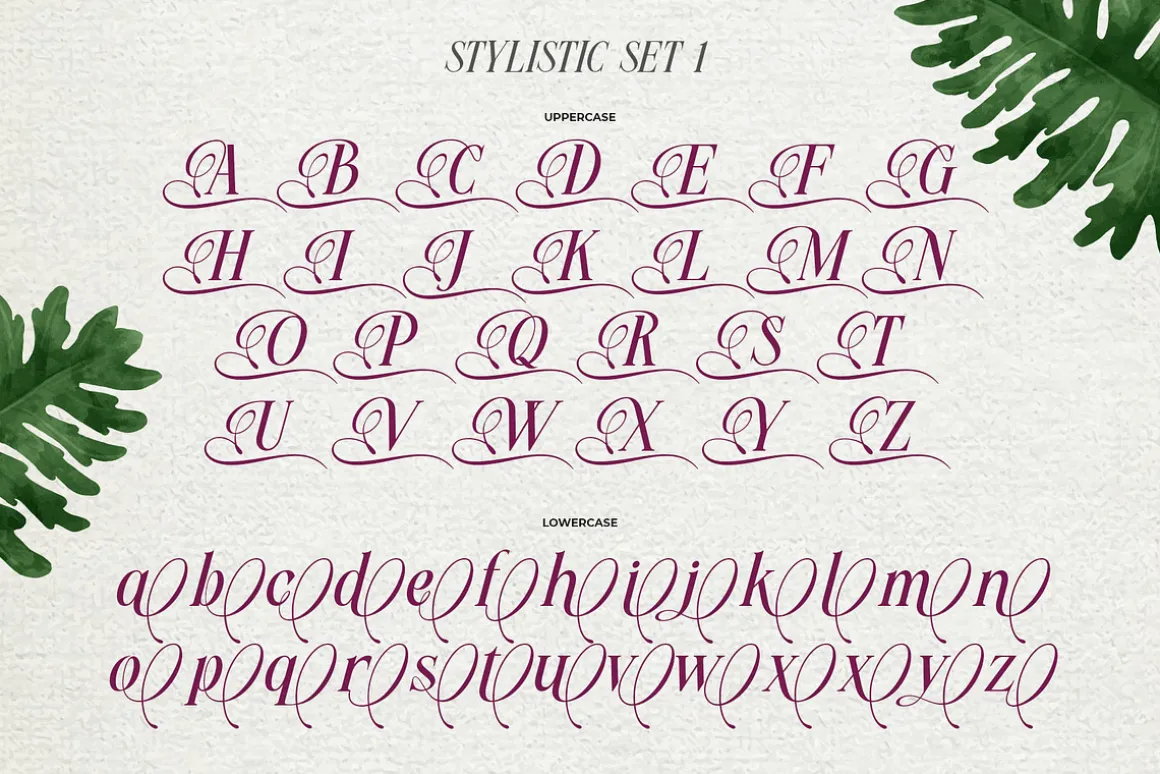 Meillona Typeface