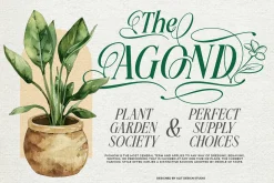 Meillona Typeface