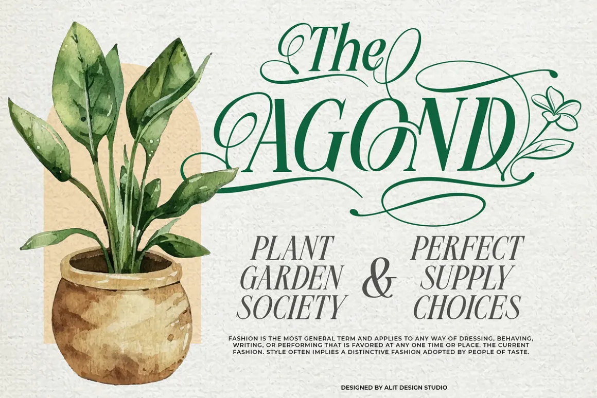 Meillona Typeface