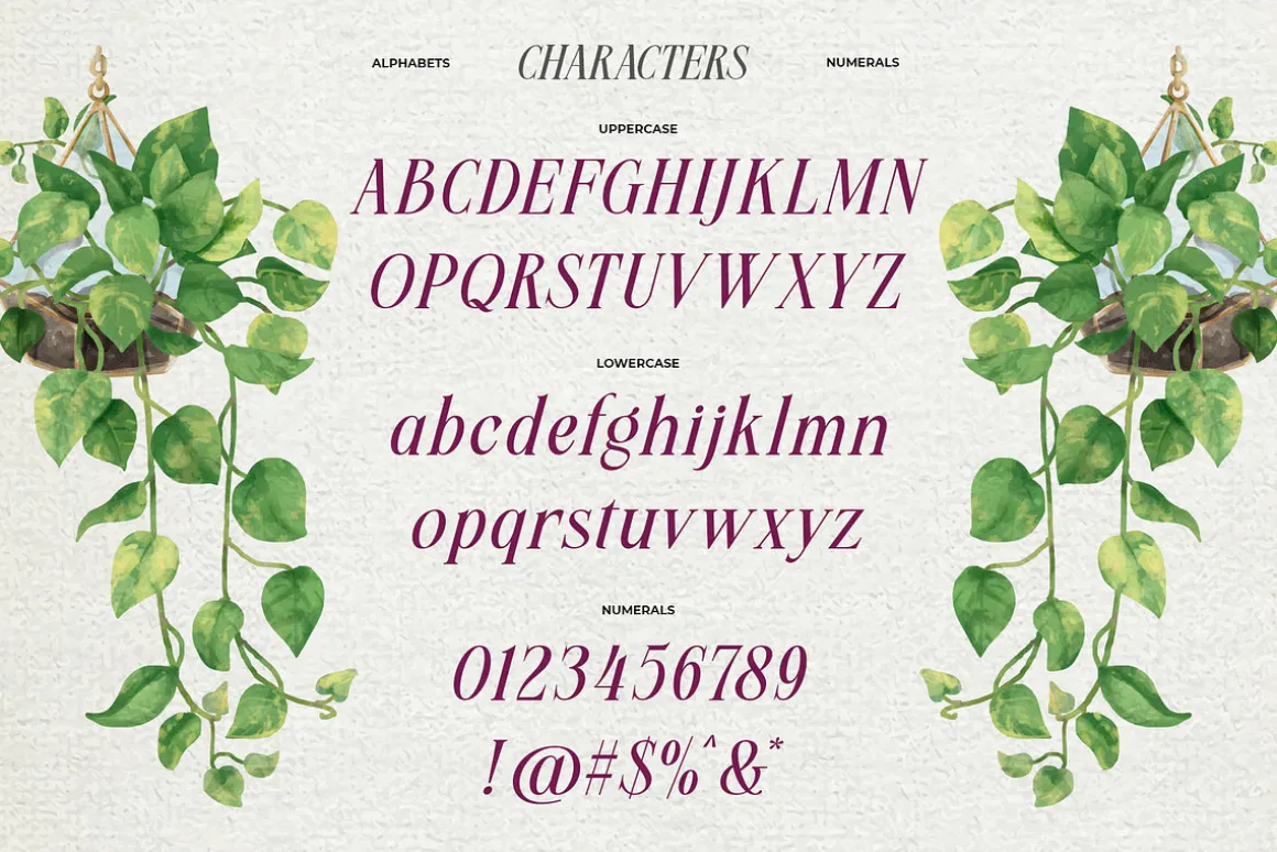 Meillona Typeface