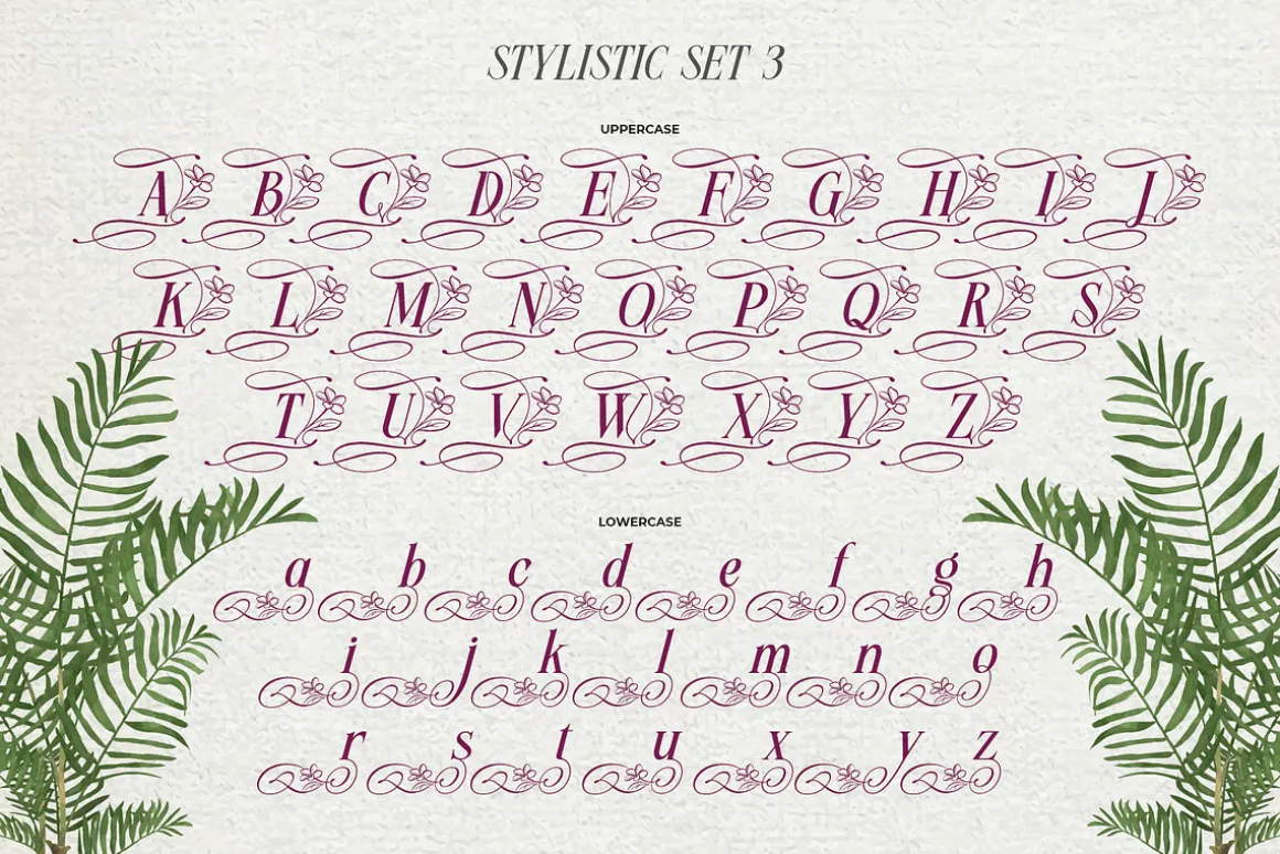 Meillona Typeface
