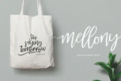 Mellony brush script font