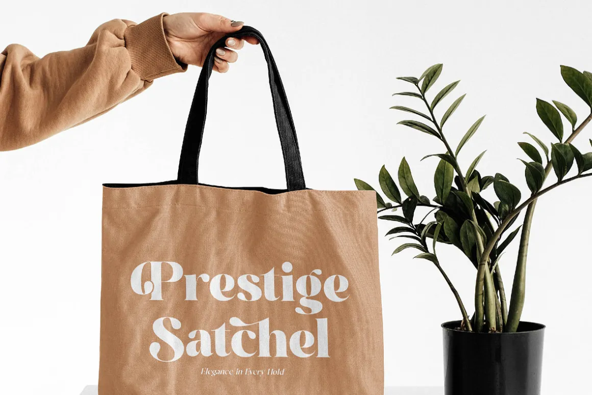 Melody Cottage Modern Bold Serif