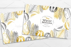 Melon & Watermelon Vector Collection